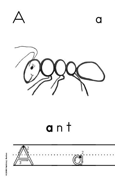 Ant Activity Page